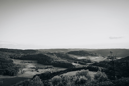 Landscape view of the Black Forest in Germany with green lush trees during the sunset