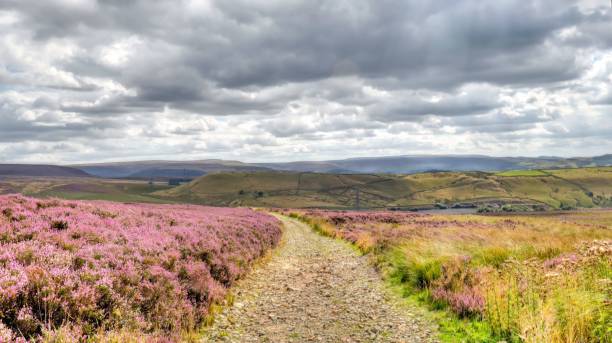 istock North York Moors National Park on a cloudy day 1446416362