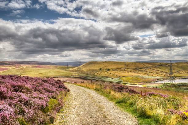 istock North York Moors National Park on a cloudy day 1446416366