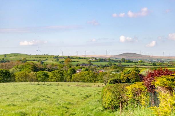 istock Beautiful countryside landscape in summer 1446417192