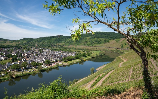 The beautiful view of the village and river surrounded by green hills. Punderich, Germany.