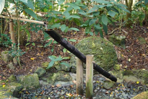 Shishi Odoshi Fotos Banco de Imagens e Fotos de Stock iStock