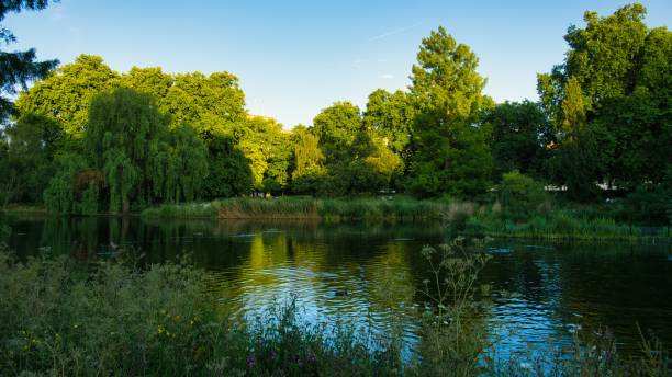 istock Beautiful view of the river surrounded by bright green trees 1446418476