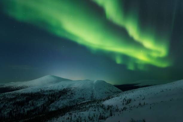 istock Snow-covered field under the beautiful Aurora Borealis sky 1446418570