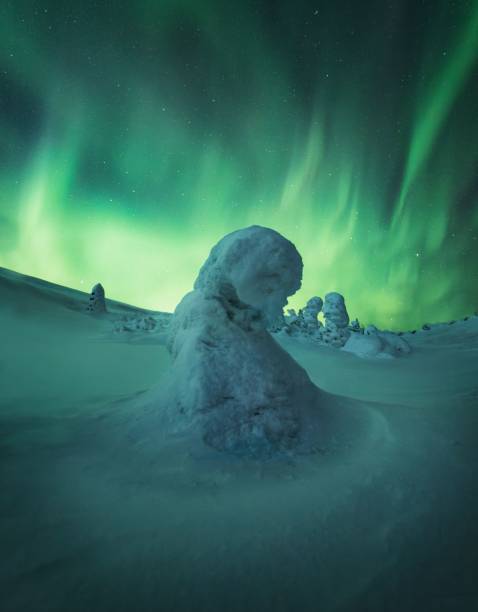 istock Snow-covered field under the beautiful Aurora Borealis sky 1446418585