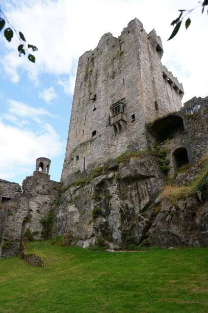 istock Vertical shot of a castle in Ireland 1446418910