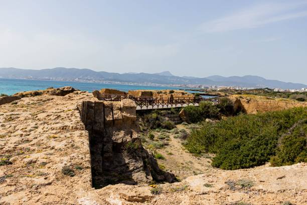 istock Empty bridge on the cliff with green bushes. 1446419248