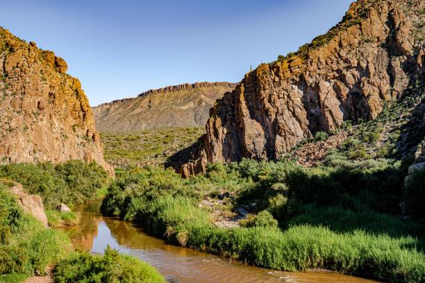 istock Beautiful shot of a salt river surrounded by cliffs in Arizona 1446420096