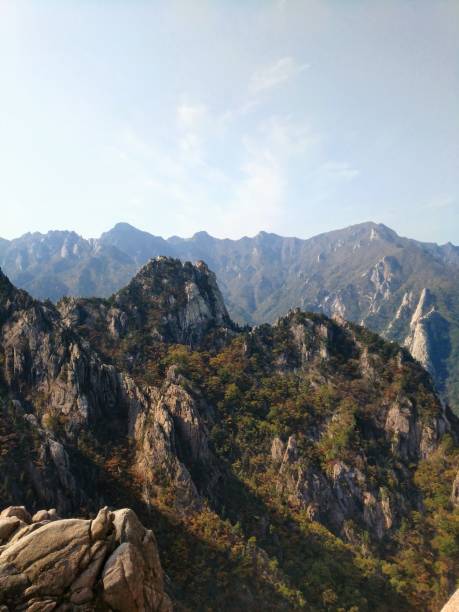 istock Vertical view from a steep cliff to a mountain range, dense forests on a sunny day 1446420139