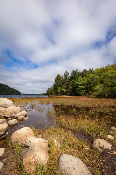 istock Vertical shot of Granite rocks, trees and a small pond under clouds 1446420306