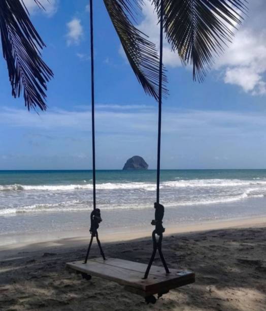 istock Wooden swing on the tropical Escape beach 1446420368