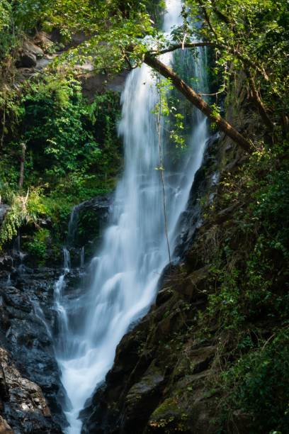 istock Raging waterfalls surrounded by trees and rocks 1446422066