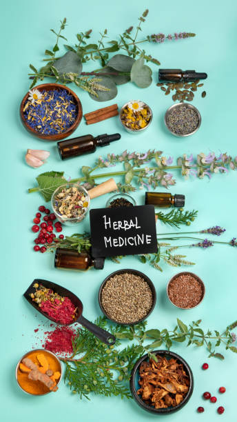 istock Alternative herbal medicine on green background. 1446422268