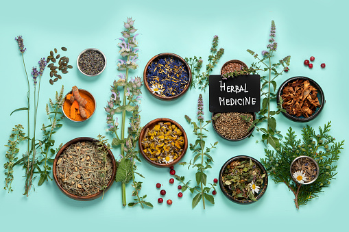 Alternative herbal medicine on green background. Homeopatic flower and herbs remedies. Top view, copy space