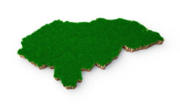 istock 3D rendering of the Honduras-shaped map with grass and soil texture isolated on a white background 1446422796