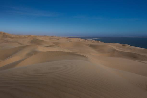 istock Vast desert landscape of Walvis in Namibia under a clear sky 1446423349