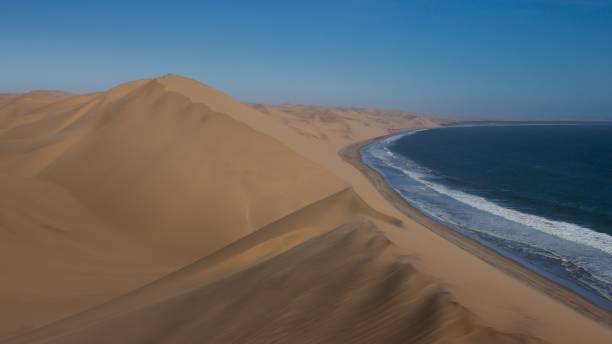 istock Vast desert landscape of Walvis in Namibia under a clear sky 1446423353