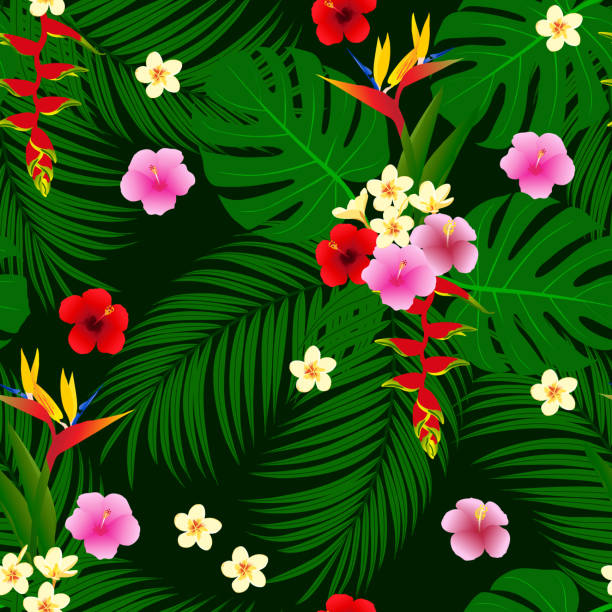 illustrations, cliparts, dessins animés et icônes de fleurs tropicales motif sans couture. imprimé floral exotique hibiscus et frangipanier. feuilles vertes dans la forêt. palmier, oiseau de paradis en arrière-plan. - tree bird flower pattern