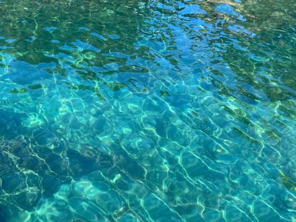 istock Sea turquoise blue water clear glittering surface. 1446424959