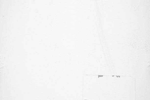 istock Old White Crack Painting on Wall Texture Background. 1446426042