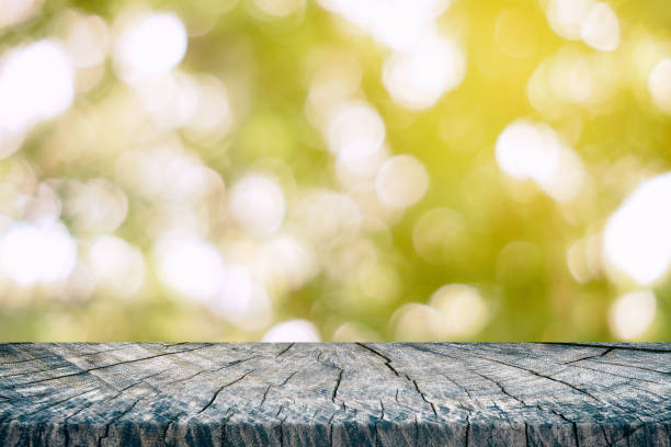 istock Stump Table with Natural Bokeh in the Vineyards Background with Light Leak, Suitable for Product Display. 1446426152
