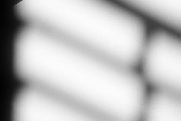 istock Light Beam with Fence Shadow on White Stucco Wall Background. 1446426916