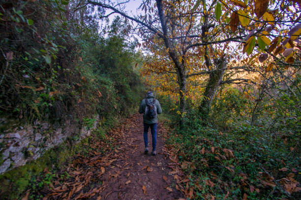 istock Mature Aged Man Hiking In The Woods. 1446427484
