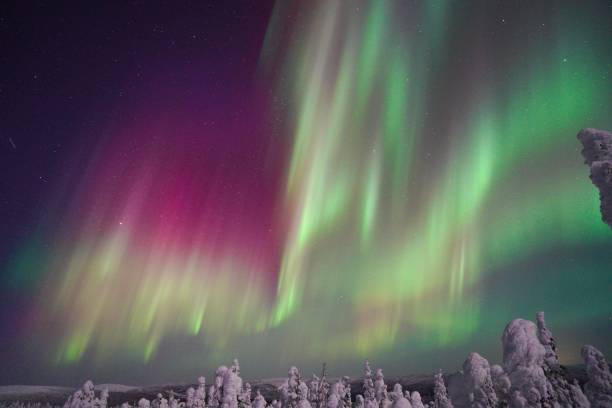 istock Breathtaking view of Aurora in Alaska 1446427675