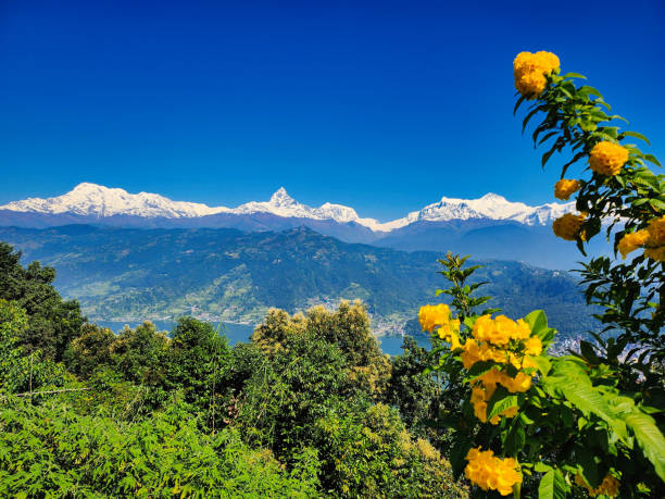 istock Pokhara mountain sky view 1446428296