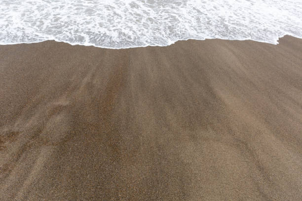 istock Ocean beach aerial top down view with blue water 1446429519