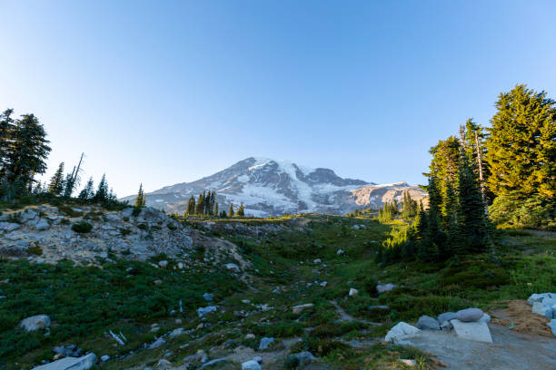 istock landscapes opens from the top of the rainier 1446429556