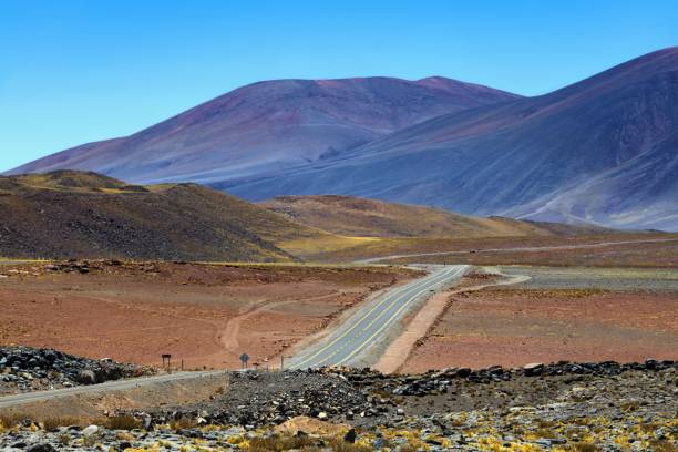 istock Road on altiplano in Atacama desert 1446435926