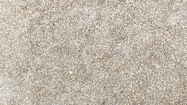 istock texture of concrete floor for background. 1446436964
