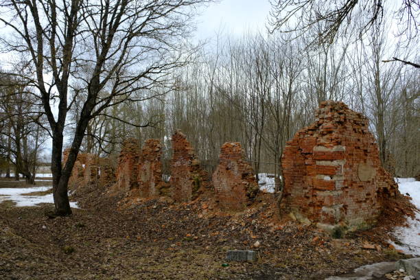 istock Ruins in the Palace and Park Ensemble 1446438506