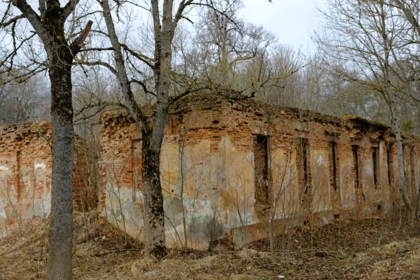 istock Ruins in the Palace and Park Ensemble 1446438759
