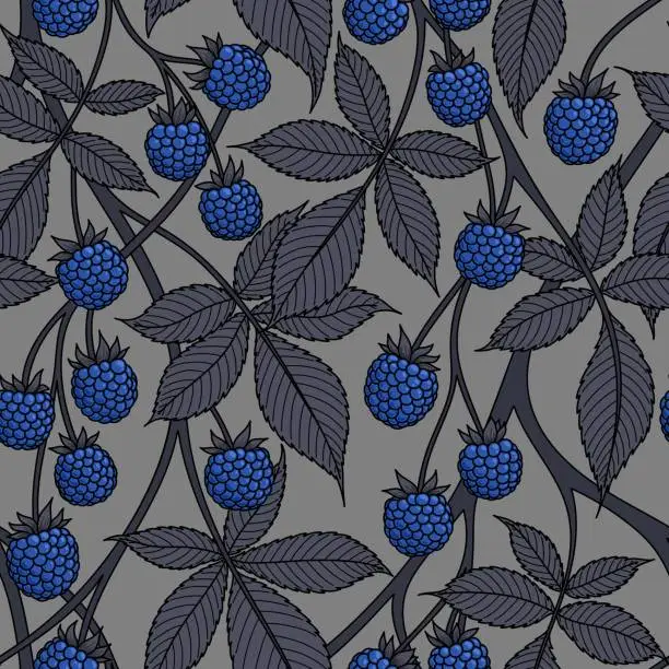 Vector illustration of GREY SEAMLESS VECTOR BACKGROUND WITH BLUE BLACKBERRY FRUITS