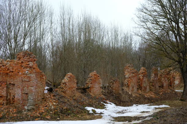 istock Ruins in the Palace and Park Ensemble 1446441078