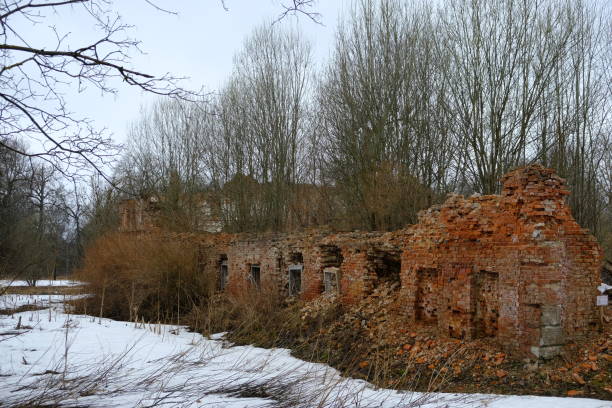 istock Ruins in the Palace and Park Ensemble 1446441079