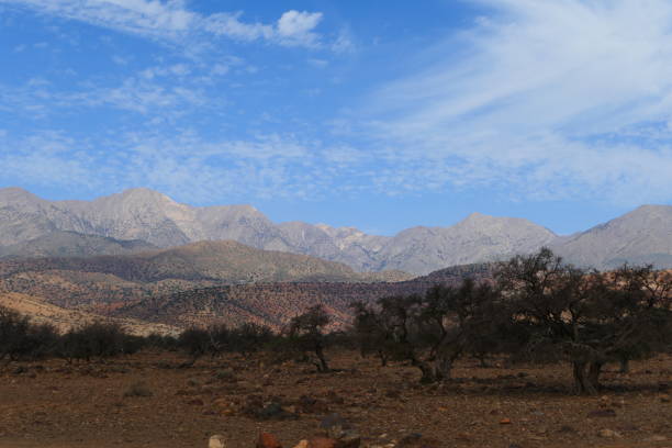 istock Tizi N'Test road, Morocco: argan tree landscape 1446441252