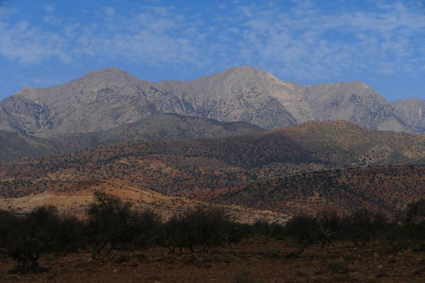 istock Tizi N'Test road, Morocco: argan tree landscape 1446441301