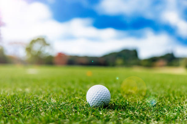 istock Fresh grass, blue sky and white golf ball 1446442668