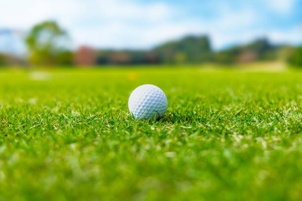 istock Fresh grass, blue sky and white golf ball 1446442804