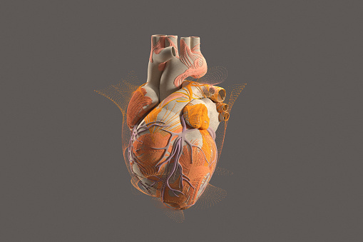Human heart with colorful particles as an embroidery, 3d render.