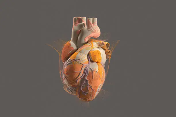 Photo of Heart concept