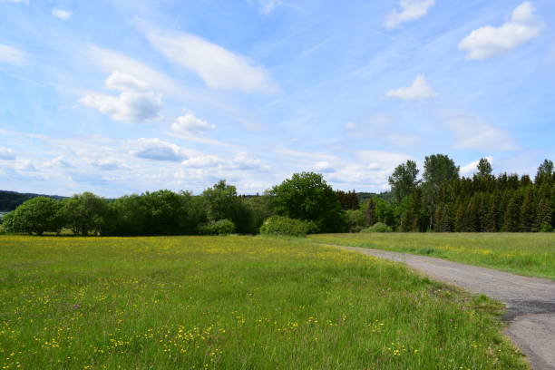 istock country road in grassland 1446443454
