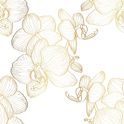 luxury gold floral line art wallpaper seamless pattern. Exotic botanical background, Orchid flower golden line design for textiles, wall art, fabric, wedding invitation.