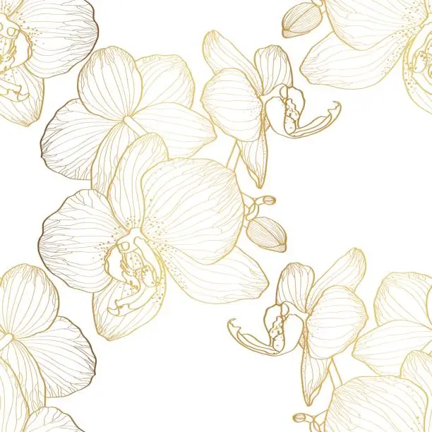 Vector illustration of luxury gold floral line art wallpaper seamless pattern. Exotic botanical background, Orchid flower golden line design for textiles, wall art, fabric, wedding invitation.