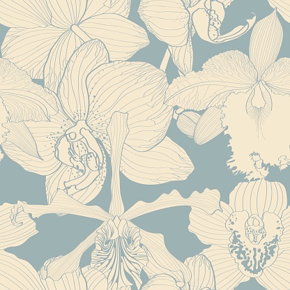 Tropical exotic orchids flowersl line blue seamless pattern, line background. Exotic jungle wallpaper.