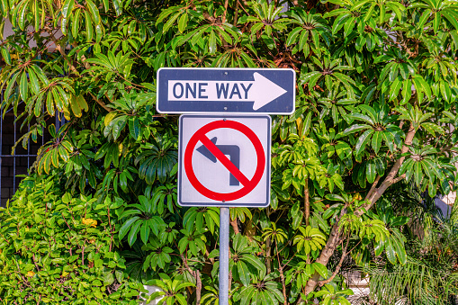 One way and no left turn signage on a post at San Clemente, California. Roadsigns against the fresh leaves of a tree and plants at the background.