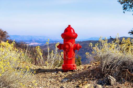 Red fire hydrant on top of a mountain in San Jose, California. There are wild plants on the side and a view of the mountains and sky at the background.